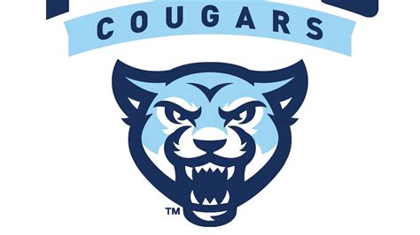 hot mom scandal|Rebranding the cougar: How a new wave of older women with .